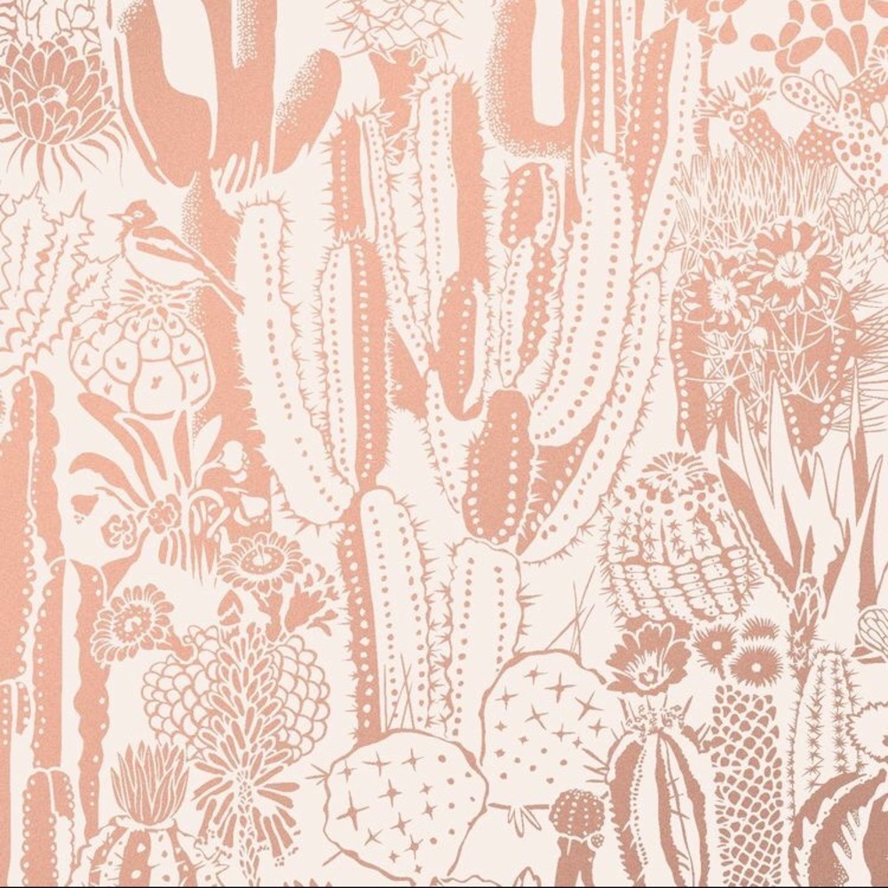 Get to know us, The Cactus Hippie! 🌵